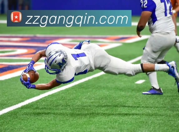 开云app官方下载苹果版APP 高清赛事图